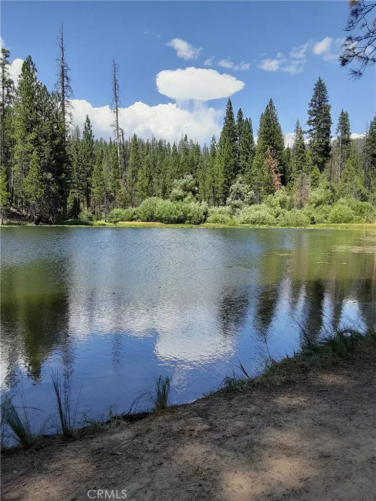 North Fork, CA 93643,90 Tamarack Trail