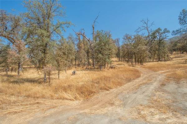 1 Sycamore RD, Tollhouse, CA 93667