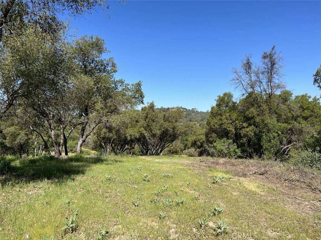 Coarsegold, CA 93614,0 2.38AC Stone Creek Dr