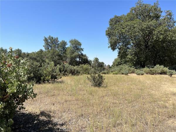 Ahwahnee, CA 93601,0 2.43AC Road 601