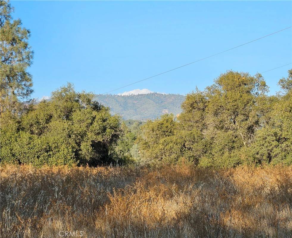 Coarsegold, CA 93614,7 Lot Chukchansi RD