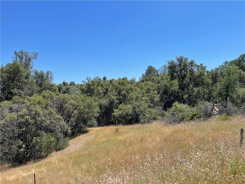 North Fork, CA 93643,25 Boulder Creek DR