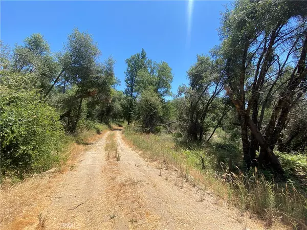 North Fork, CA 93643,25 AC Sam Renna