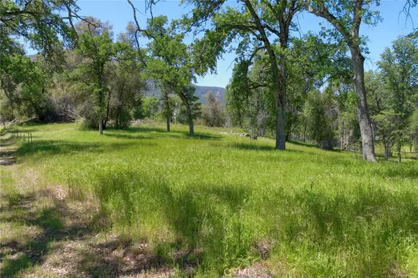 Oakhurst, CA 93644,0 11.84 AC Road 425A