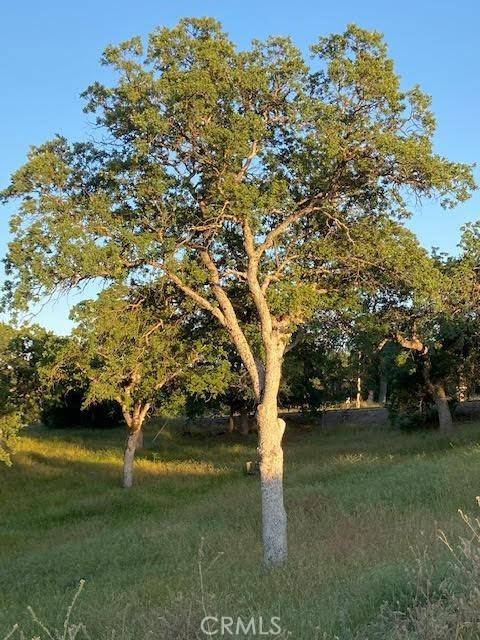 Squaw Valley, CA 93675,0 APN 190-160-05S