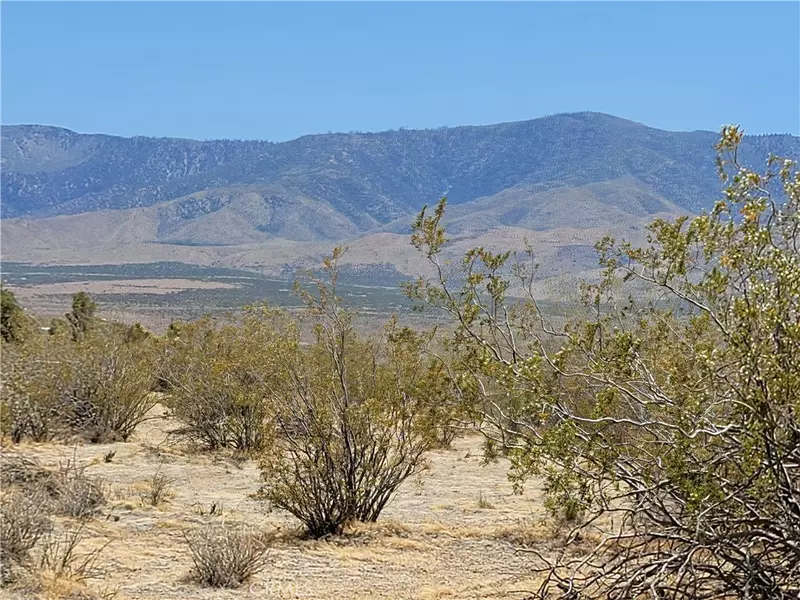 0 Morningside ST, Lucerne Valley, CA 92356