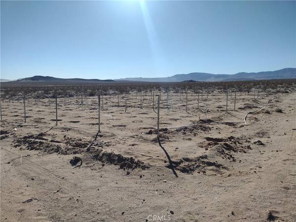 Lucerne Valley, CA 92356,0 Green Rock Mine Rd. (Near)