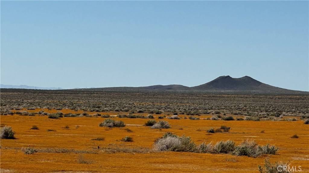 Kramer Junction, CA 93516,8108 Hwy 58