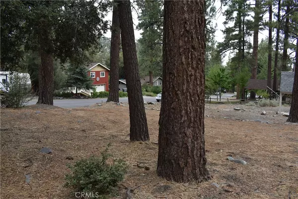 Wrightwood, CA 92397,5505 Juniper DR