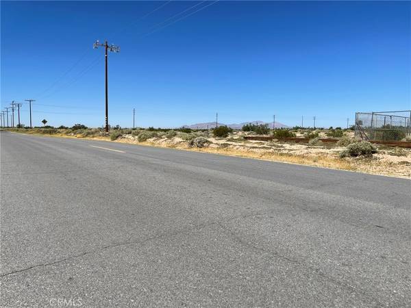 46520 Fairview RD, Newberry Springs, CA 92365