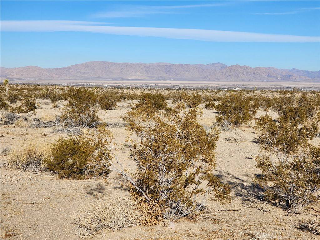 Lucerne Valley, CA 92356,500 Rosewood