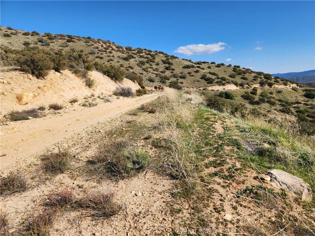 Hesperia, CA 92395,0 Off Summit RD