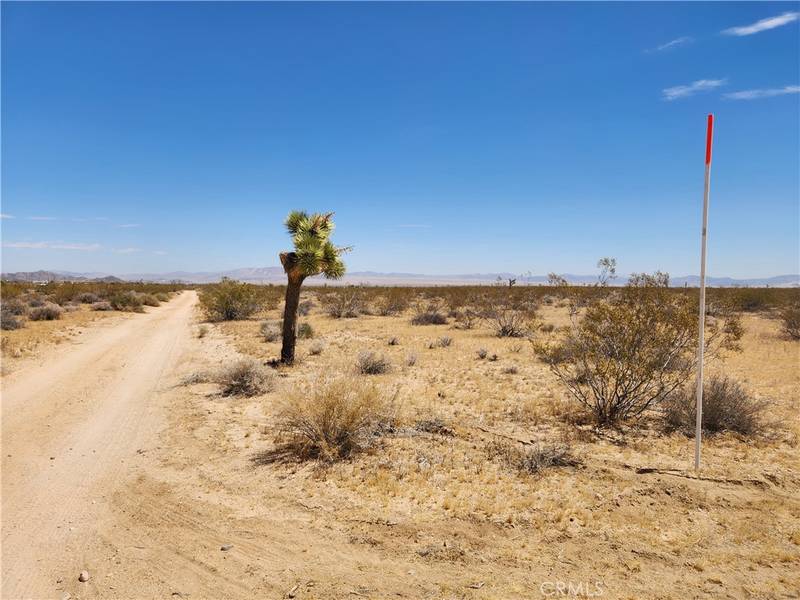 40 AC Joshua Tree, Joshua Tree, CA 92252