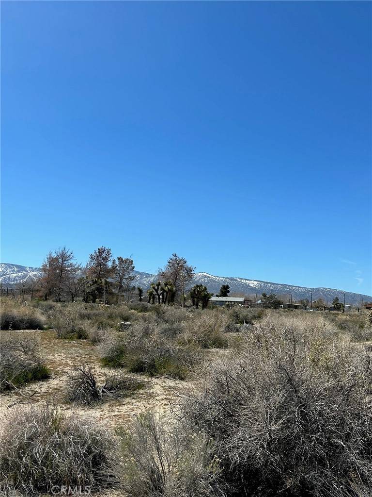Llano, CA 93544,0 Vac/Vic AVE