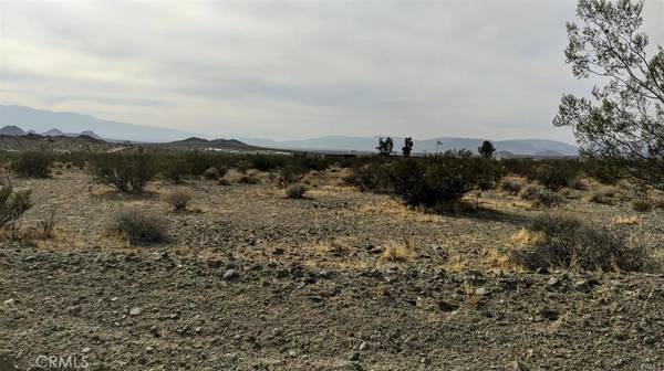 Lucerne Valley, CA 92356,800 Firethorn RD