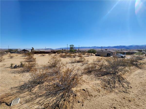 Joshua Tree, CA 92252,50 LOT Avenida LN