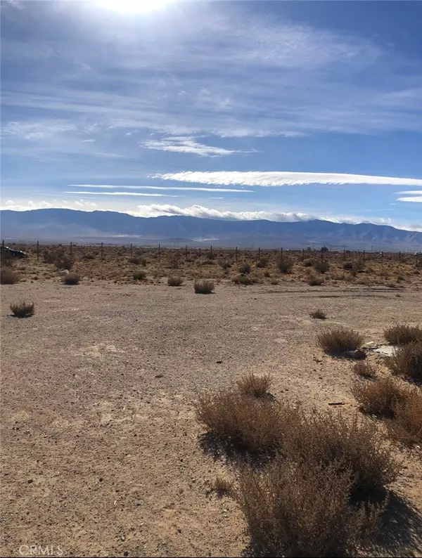 Lucerne Valley, CA 92356,0 Squaw Bush RD