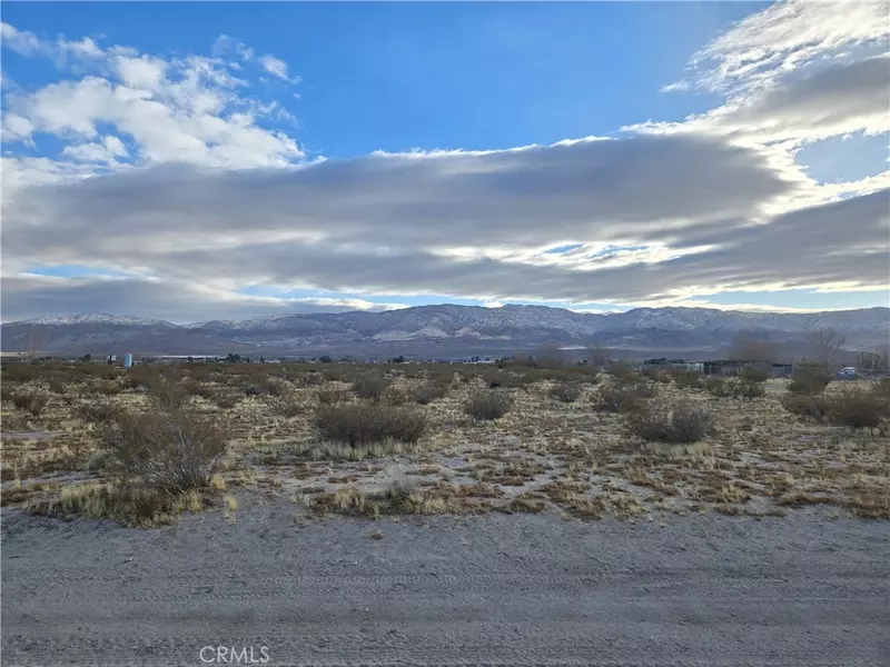 5 Acres Colby ST, Lucerne Valley, CA 92356