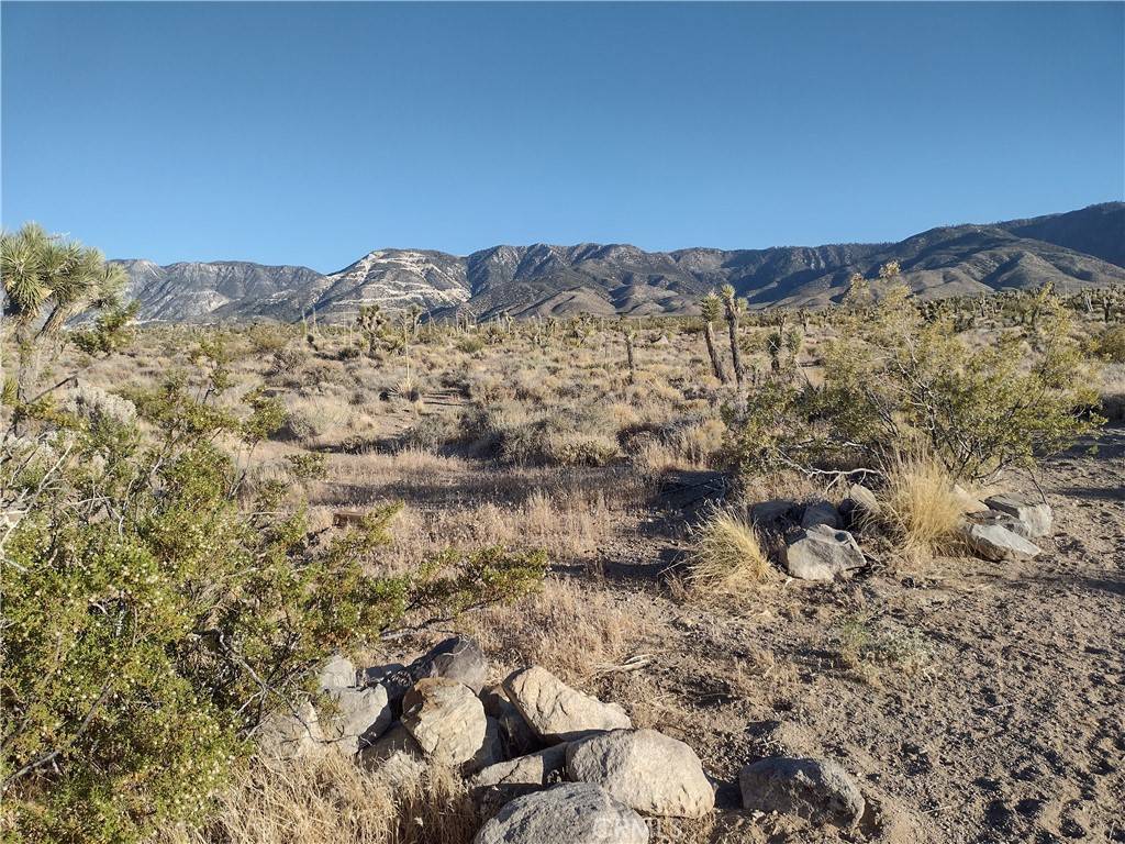 Lucerne Valley, CA 92356,5 Tate LN