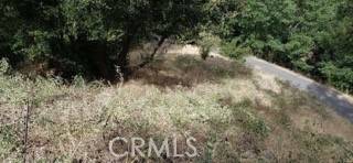 Crestline, CA 92325,0 Jewel DR