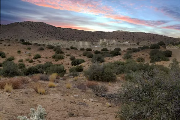 Pioneertown, CA 92268,0 Tumbleweed TRL