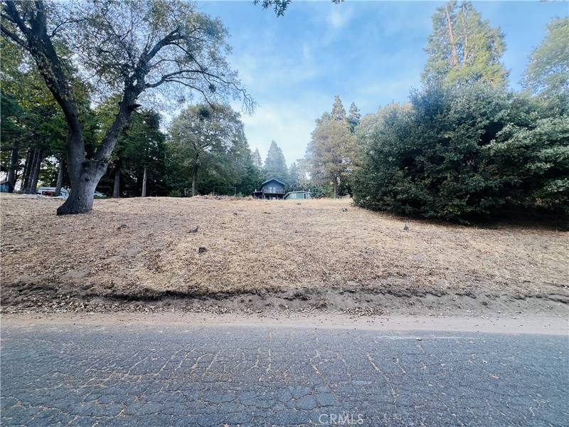 0 Mojave River RD, Cedarpines Park, CA 92322