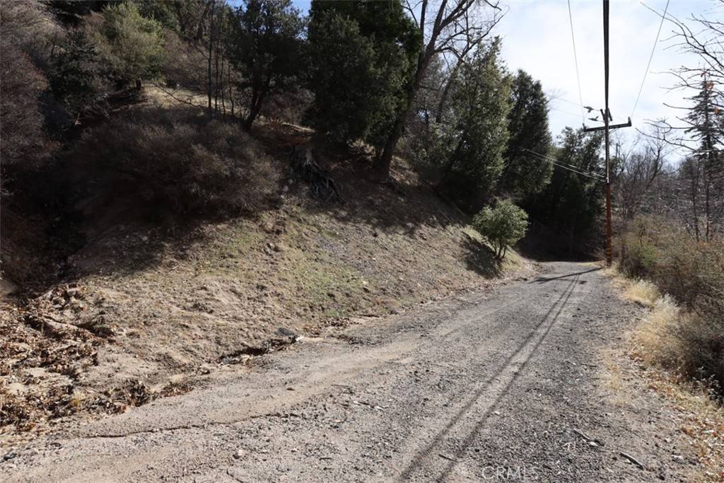 Cedar Glen, CA 92321,717 Acacia RD