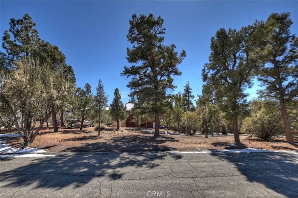 Big Bear City, CA 92314,0 Pioneer LN