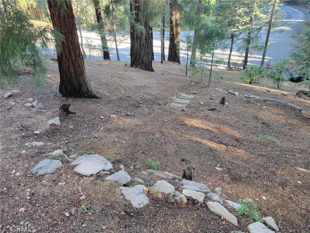 Lake Arrowhead, CA 92352,27868 Holly Lane
