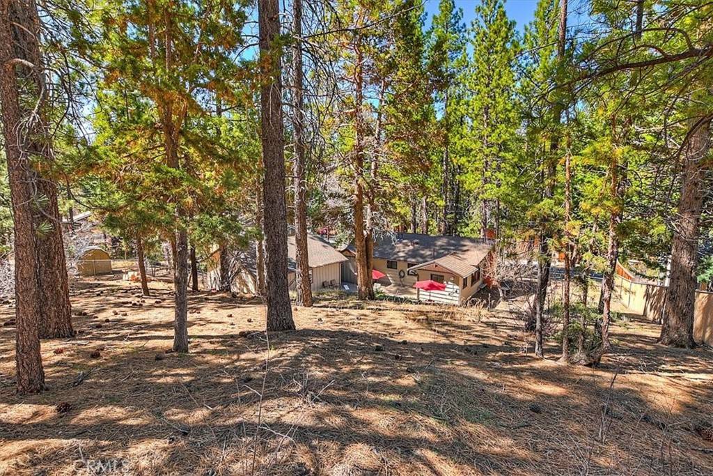 Big Bear Lake, CA 92315,393 Catalina RD