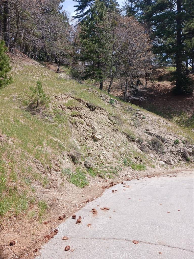 21858 Fern Canyon RD, Cedarpines Park, CA 92322