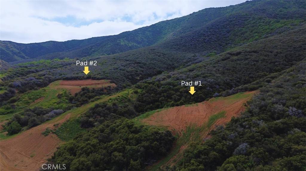 2 Plummers LN, Mentone, CA 92359