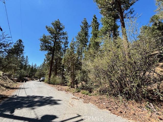 Big Bear City, CA 92314,0 E Rainbow BLVD