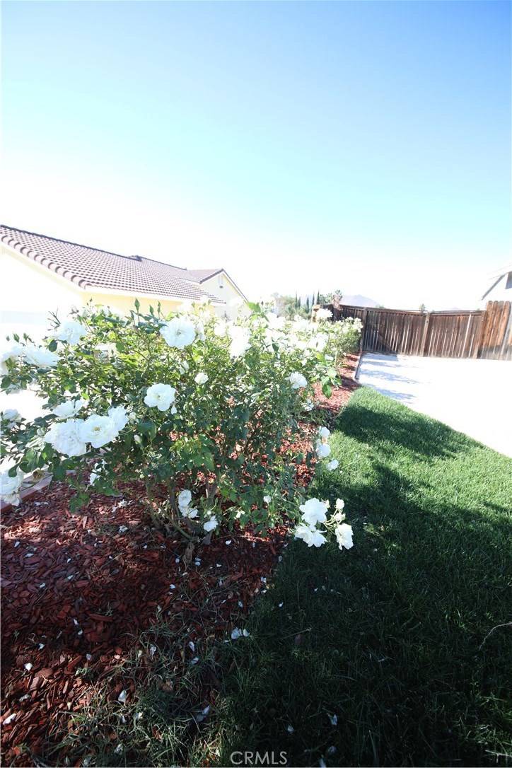 Bloomington, CA 92316,11566 Appaloosa LN