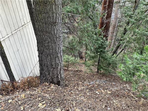 Lake Arrowhead, CA 92352,0 Hillside DR