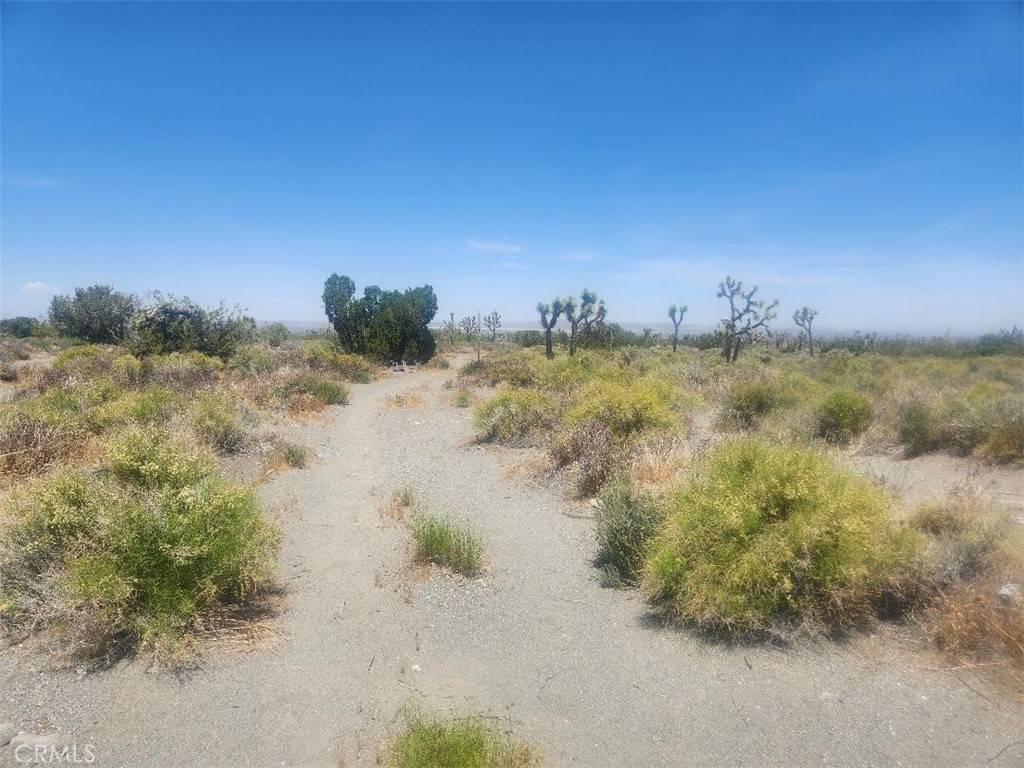 Pinon Hills, CA 92372,0 Minero RD