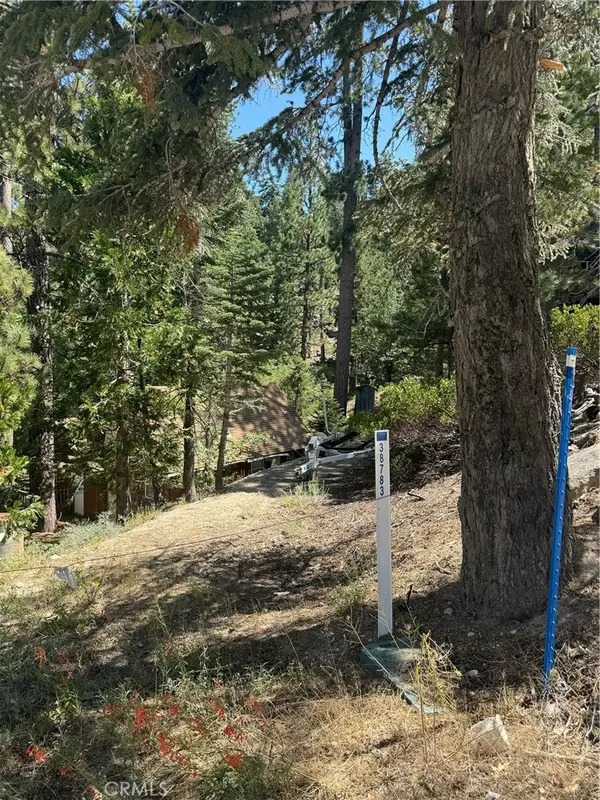 Big Bear Lake, CA 92315,0 Canyon TRL