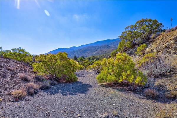 65200 St Pierre RD, Mountain Center, CA 92561