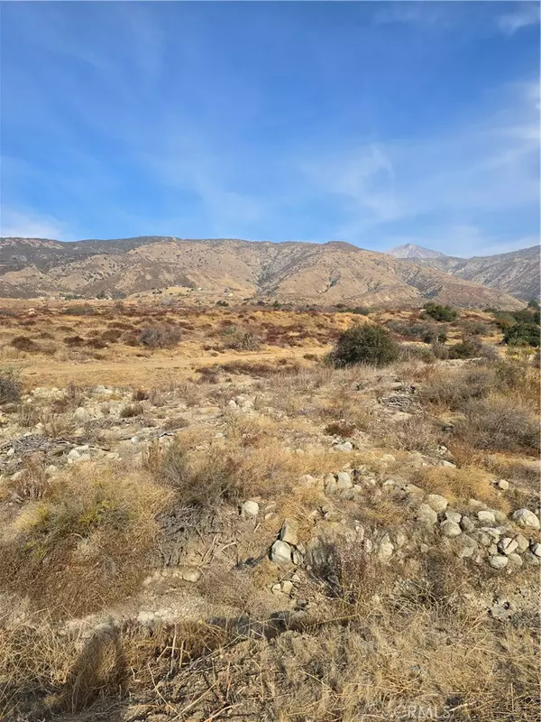 Yucaipa, CA 92399,0 Juniper