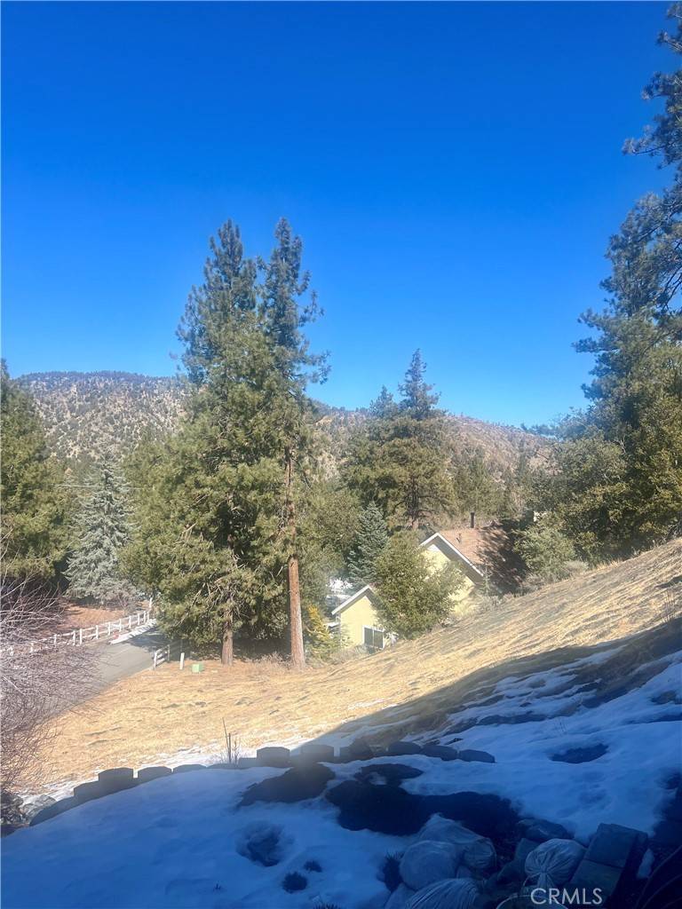 Wrightwood, CA 92397,5411 Shirley J LN
