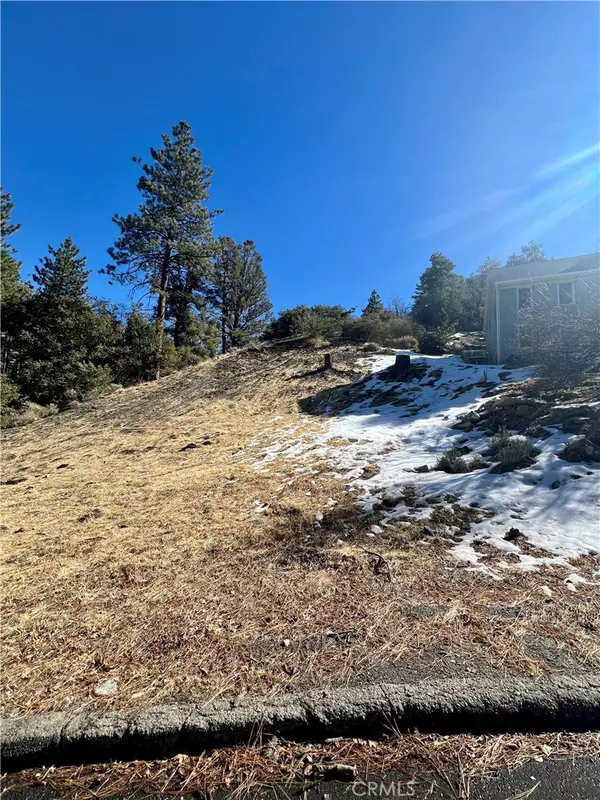 5411 Shirley J LN, Wrightwood, CA 92397