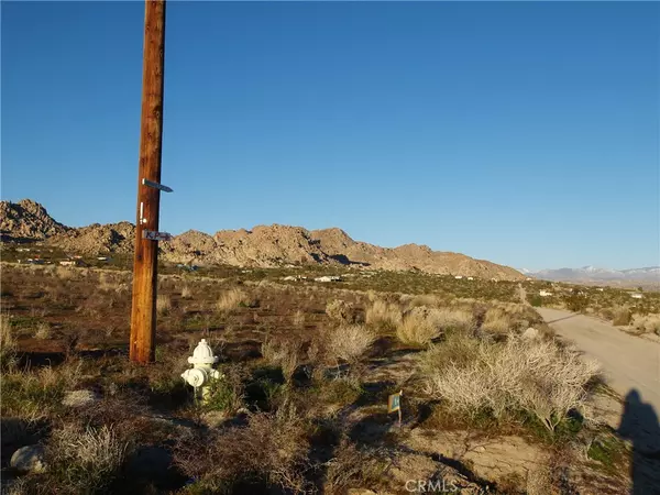 Joshua Tree, CA,0 Sunkist