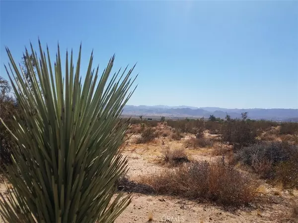 Joshua Tree, CA 92252,0 Border AVE