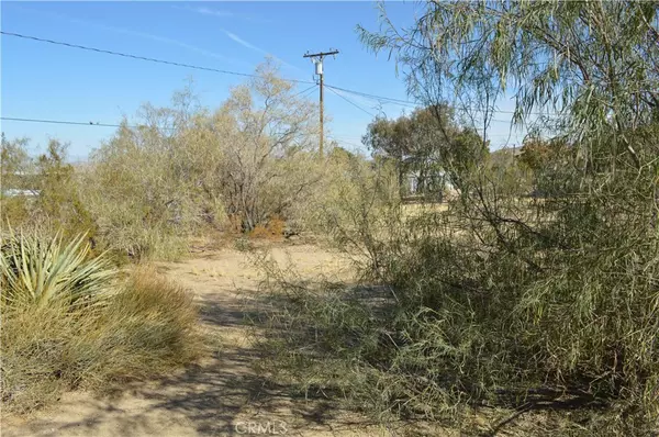 Joshua Tree, CA 92252,60808 Latham TRL