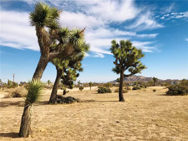 Yucca Valley, CA 92284,58849 Terra Vista DR