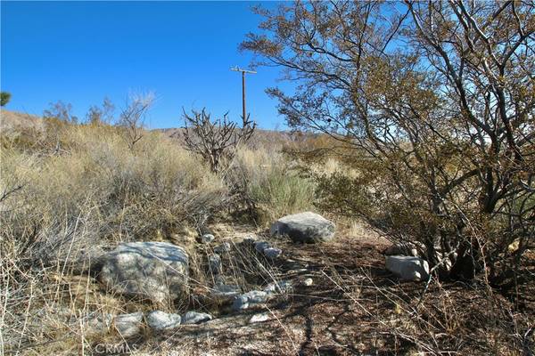 Morongo Valley, CA 92256,123 Bella Vista DR