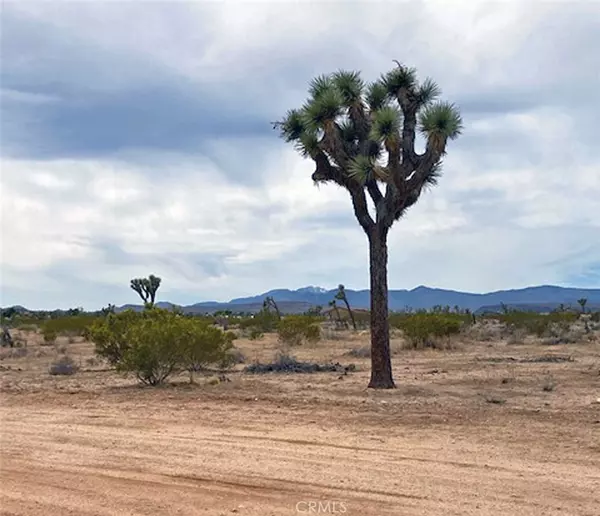 Joshua Tree, CA 92252,0 Tacoma Ct