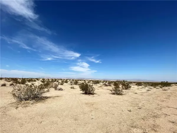 29 Palms, CA 92277,123 Nardina ST