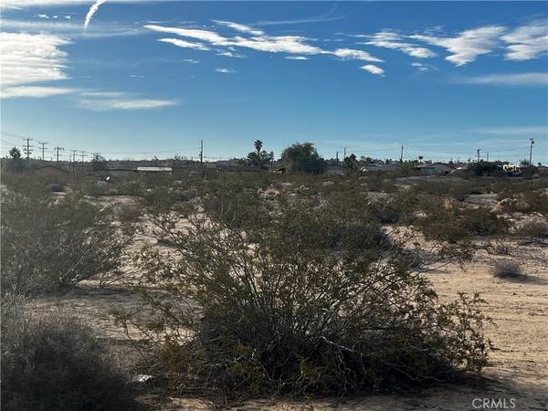 29 Palms, CA 92277,0 Larrea