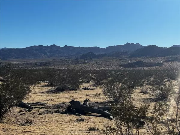 Joshua Tree, CA 92252,0 Desert Way